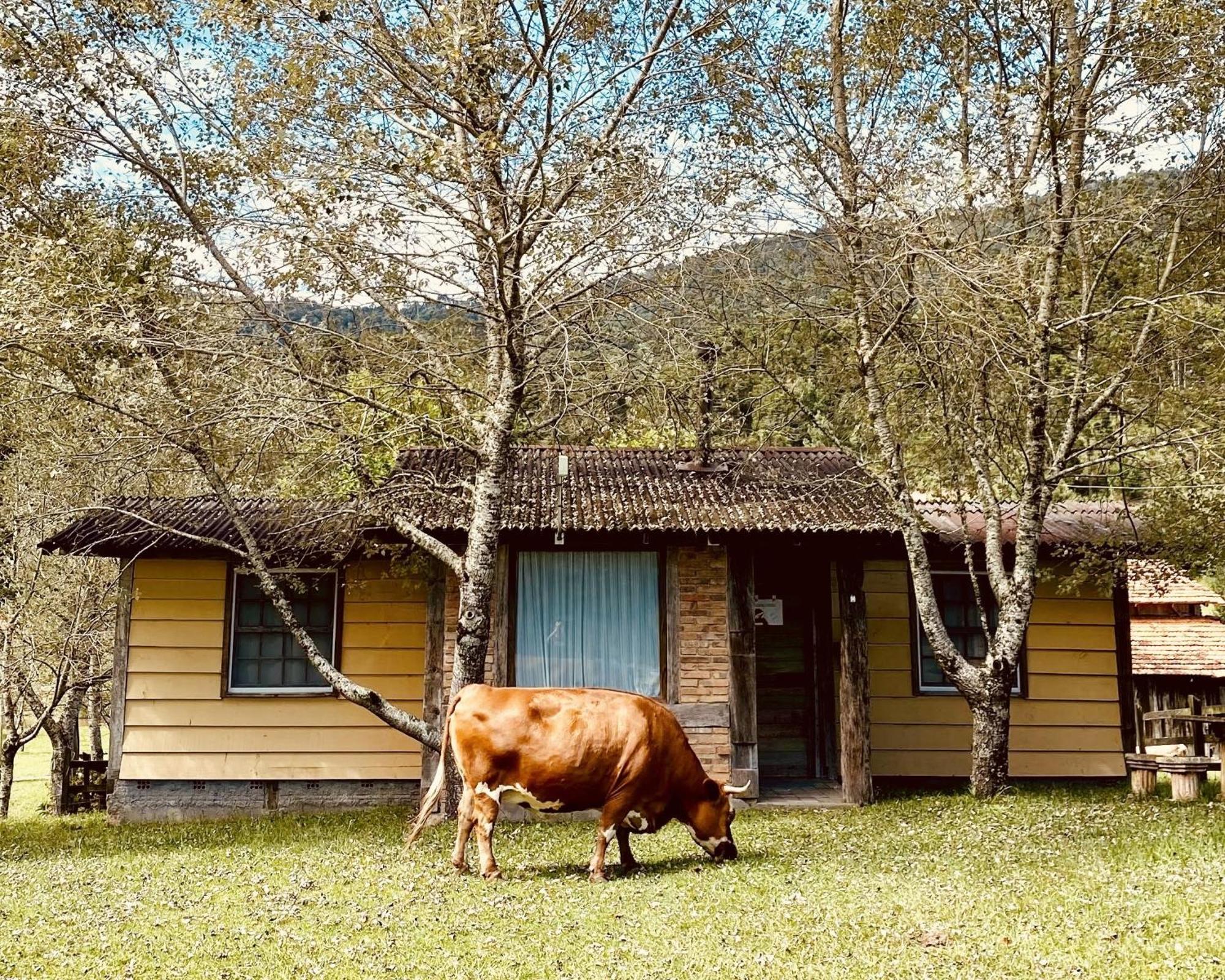 Estalagem Santo Antonio Hotel Urubici Kültér fotó